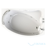 
    
        
    
    Радомир Бостон luxe
    
        55880
    
    руб
