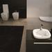 Hidra Ceramica-art41843-DL12 white black-Комплектующие для унитазов-8-thumb