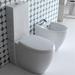 Hidra Ceramica Loft LO12 white-art39896-LO12 white-Комплектующие для унитазов-4-thumb