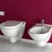 Villeroy & Boch-art48060-5660 H1R1-Унитазы-1-thumb